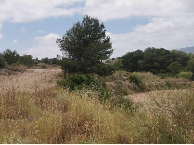 Terreno, Hondón de las Nieves