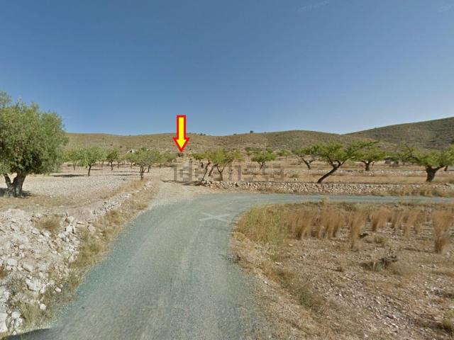 Terreno, Hondón de las Nieves