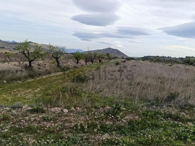 Terreno, Hondón de las Nieves