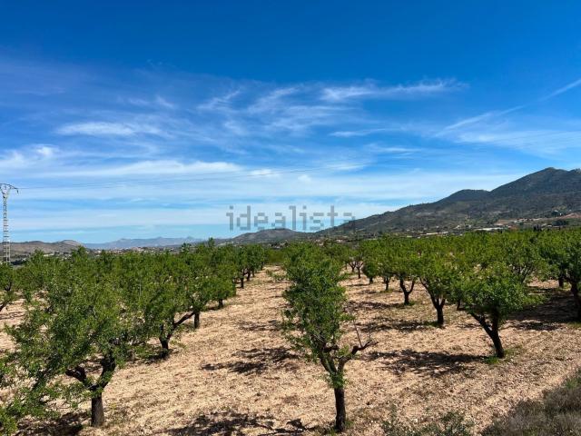 Terreno, Hondón de los Frailes