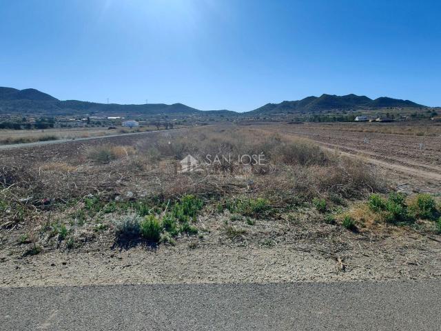 Terreno, Hondón de los Frailes