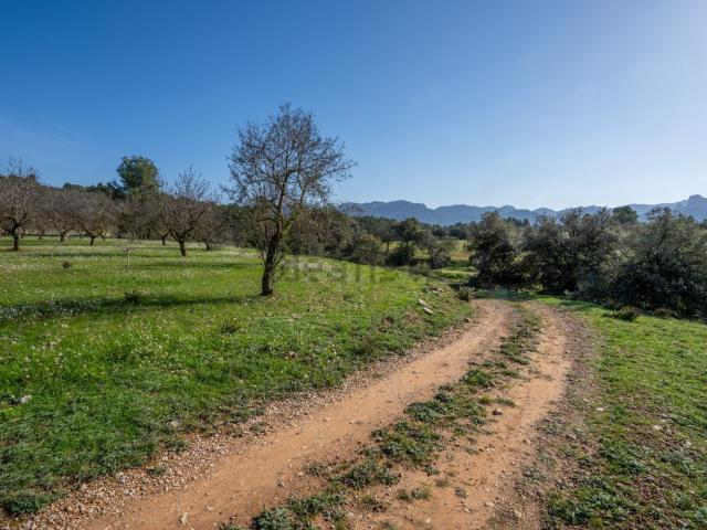 Terreno, Horta de Sant Joan