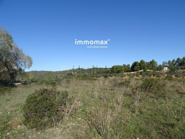 Terreno, Horta de Sant Joan