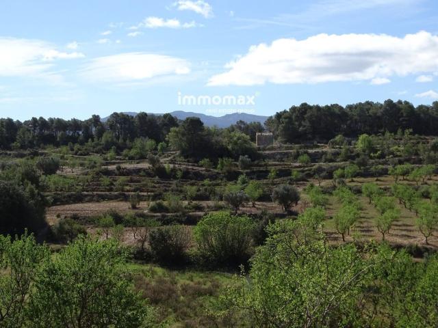 Terreno, Horta de Sant Joan