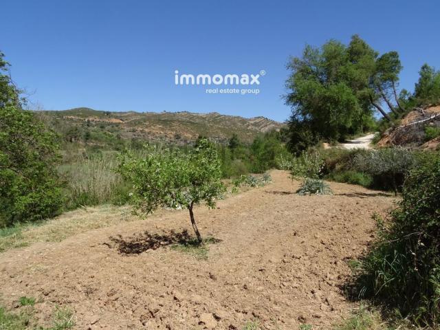 Terreno, Horta de Sant Joan