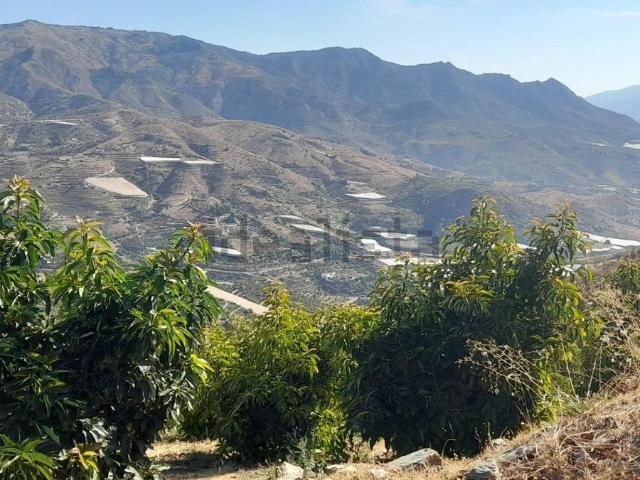 Terreno, Itrabo