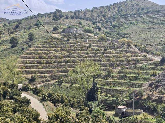 Terreno, Itrabo