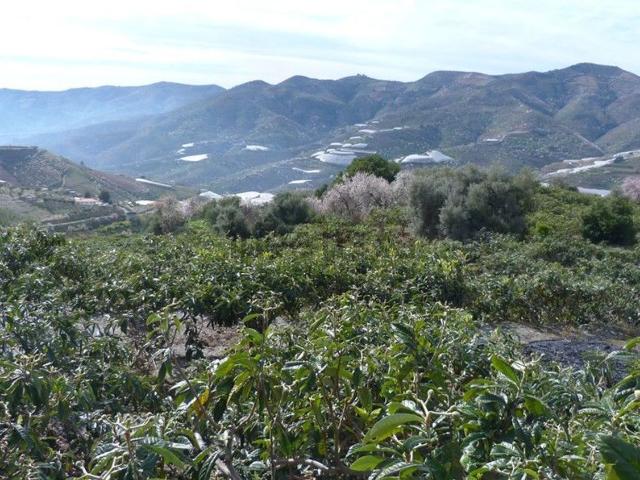 Terreno, Itrabo