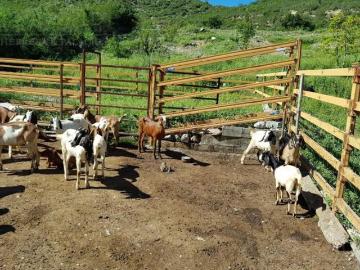 Terreno Iturbide