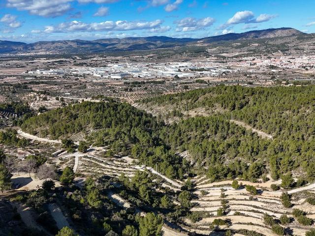Terreno, Ibi