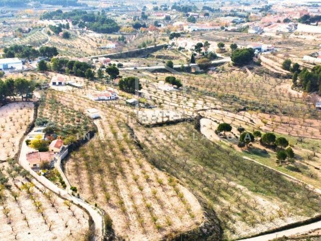 Terreno, Ibi