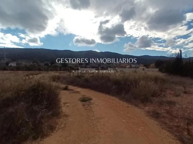 Terreno, Ibi
