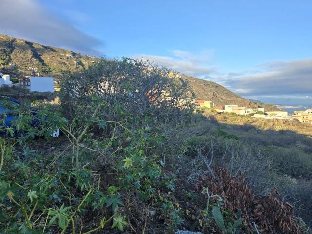 Terreno, Icod de los Vinos