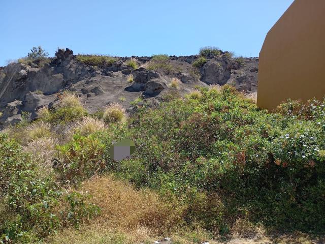 Terreno, Icod de los Vinos