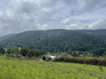 Terreno ideal para desarrollar en Cañada de Alferez con espectacular vista