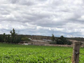 Terreno ideal para viñedos y viviendas