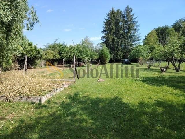 Terreno in affitto a Venegono Inferiore VA