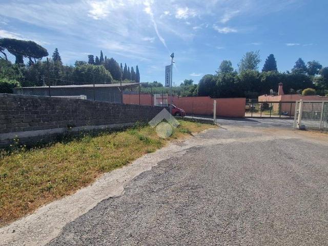 Terreno in affitto a Velletri RM