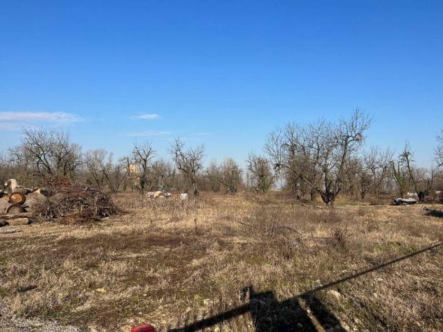 Terreno in affitto a Zola Predosa BO