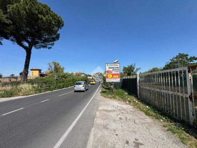Terreno in affitto a Albano Laziale RM