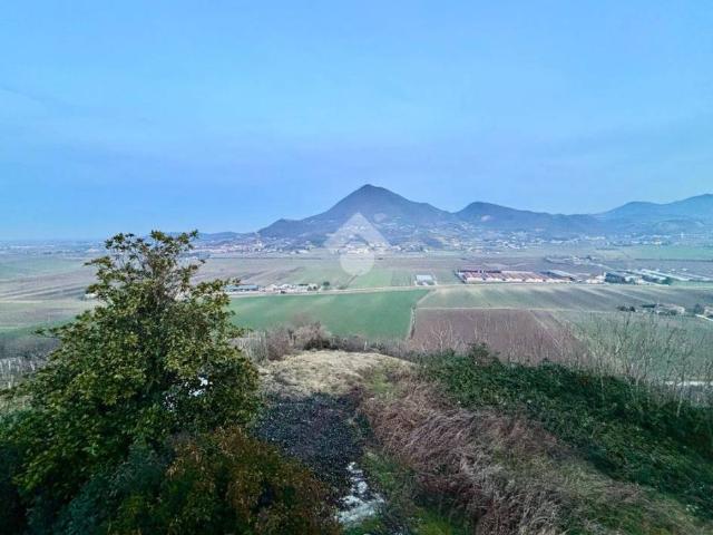 Terreno in affitto a Albettone VI