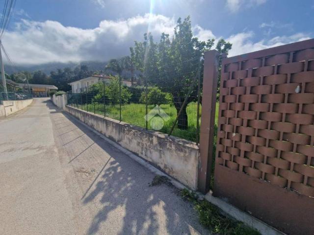 Terreno in affitto a Castellammare del Golfo TP