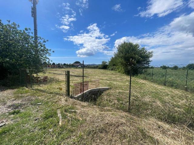 Terreno in affitto a Grosseto GR