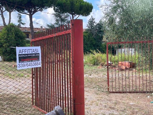 Terreno in affitto a Grosseto GR