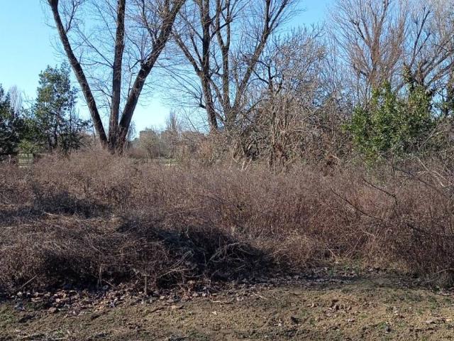 Terreno in affitto a Milano MI