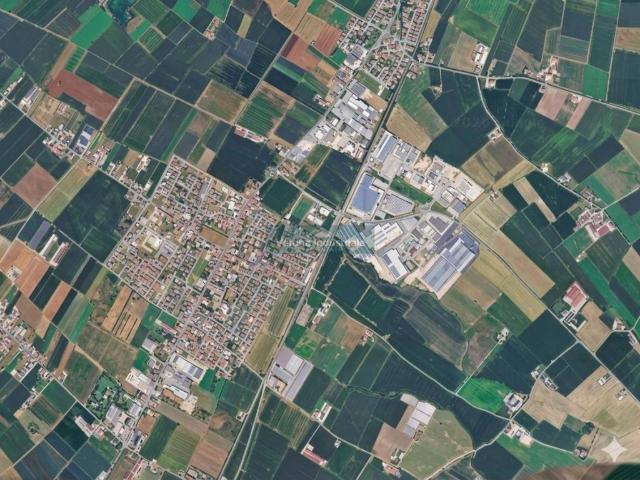 Terreno in affitto a Mozzecane VR