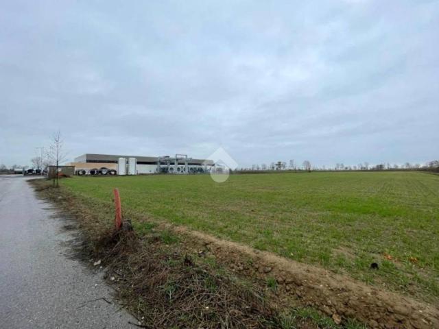 Terreno in affitto a Padova PD