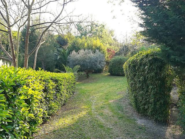 Terreno in affitto a Pescara PE