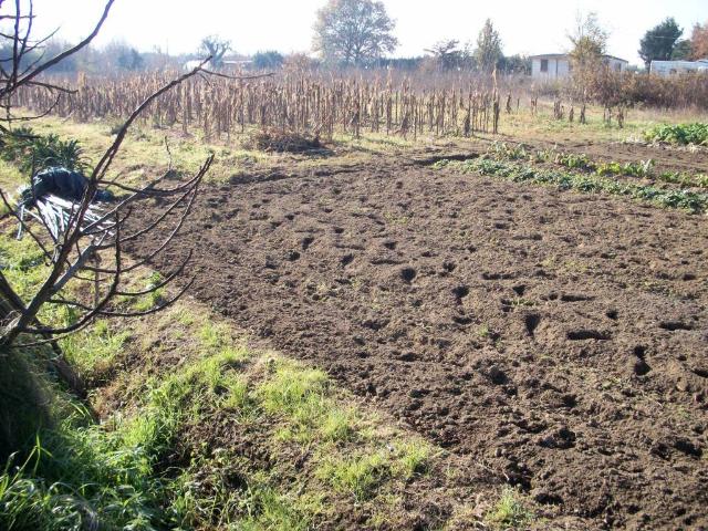 Terreno in affitto a Pisa PI