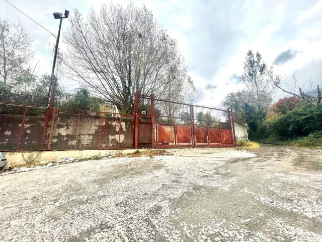 Terreno in affitto a Pomigliano d'Arco NA