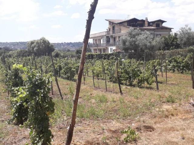 Terreno in affitto a Quarto NA