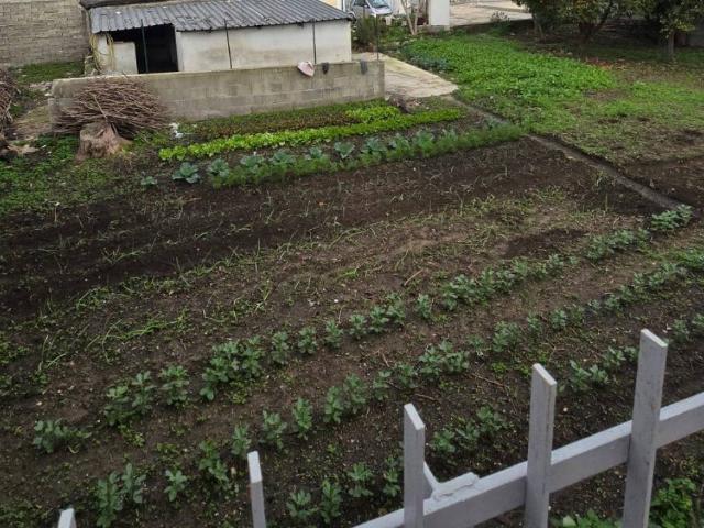 Terreno in affitto a Quarto NA