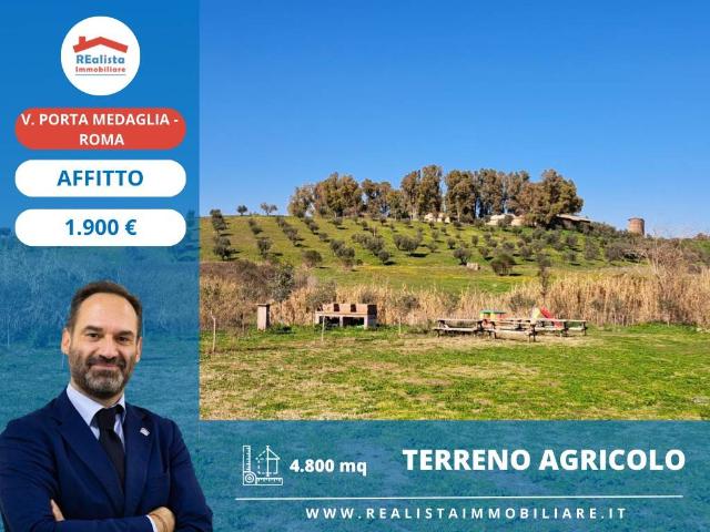 Terreno in affitto a Roma RM