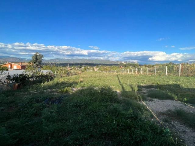 Terreno in affitto a San Cesareo RM