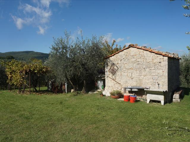 Terreno in affitto a Sarteano