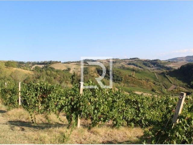 Terreno in affitto di 170000 m² in Via Polenta Nuova
