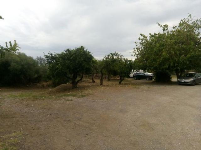 Terreno in affitto di 2000 m² in Viale Alcide de Gasperi