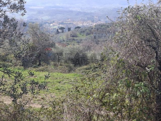 Terreno in affitto di 28500 m² in Via di Casalivo