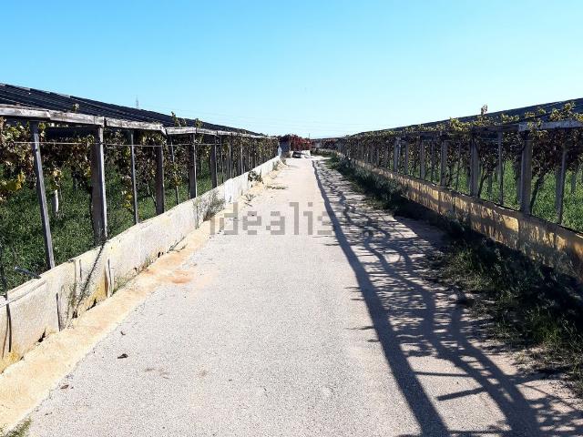 Terreno in affitto di 42000 m²