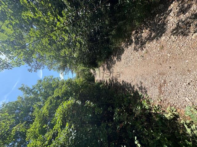 Terreno in affitto di 4809 m² in Località sgonico 1