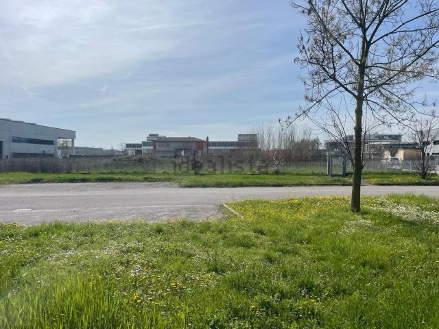 Terreno in affitto di 5000 m² in Via Poggio