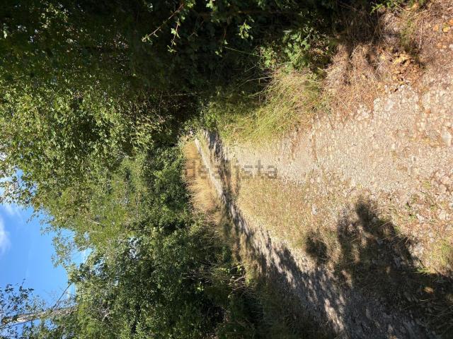 Terreno in affitto di 8589 m² in Località duino