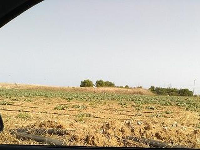 Terreno in contrada Piccoli zona industriale di Brindisi 8557mq