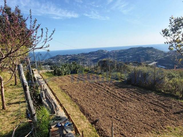 Terreno in vendita a Taggia IM