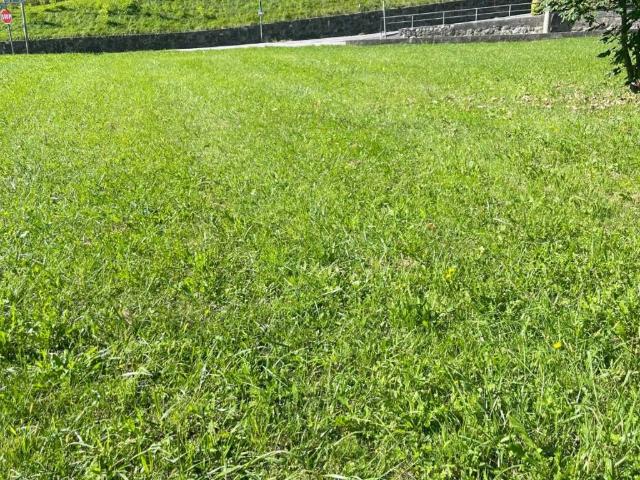 Terreno in vendita a Tarzo TV