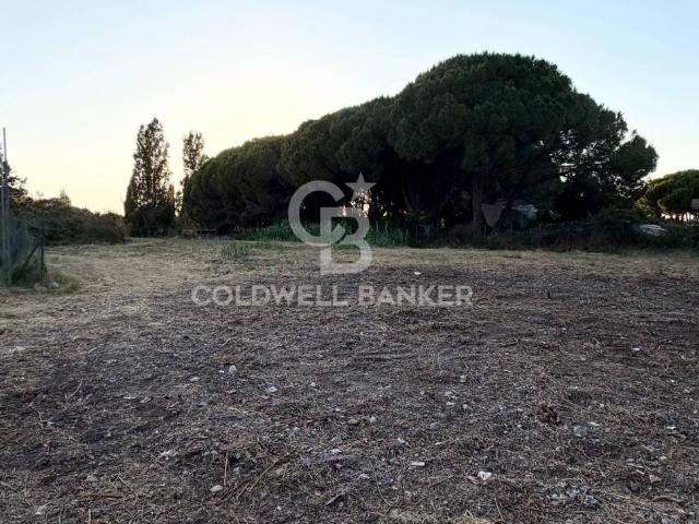 Terreno in vendita a Tarquinia VT
